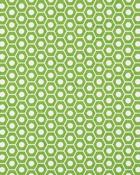 Queen B Green by  Schumacher Fabric 