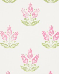 Jane Pink & Green by  Schumacher Fabric 