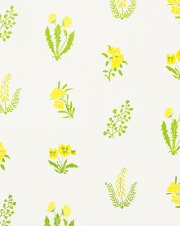 Hilary Yellow & Green by  Schumacher Fabric 