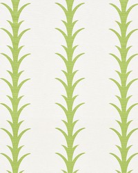 Acanthus Stripe Leaf by  Schumacher Fabric 