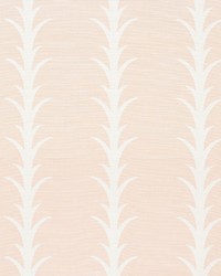 Acanthus Stripe Blush by  Schumacher Fabric 