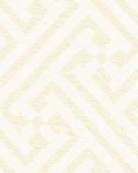 Dhari Cutwork White Natural by  Schumacher Fabric 