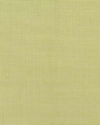 Dalton Silk Gingham Chartreuse by  Schumacher Fabric 