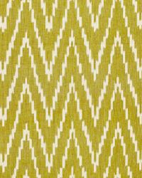 Kasari Ikat Palm by  Schumacher Fabric 