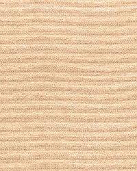 Gainsborough Velvet Blush by  Schumacher Fabric 