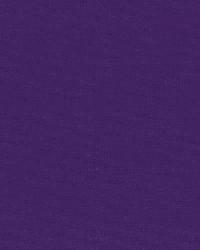 Gainsborough Velvet Grape by  Schumacher Fabric 