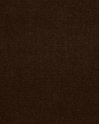 Gainsborough Velvet Ebony by  Schumacher Fabric 