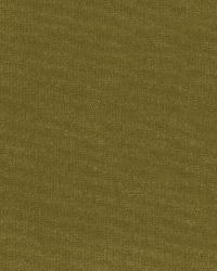 Gainsborough Velvet Moss by  Schumacher Fabric 