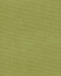 Gainsborough Velvet Celery by  Schumacher Fabric 