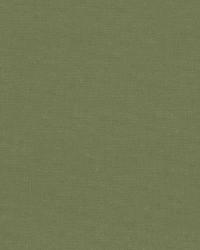 Gainsborough Velvet Celadon by  Schumacher Fabric 