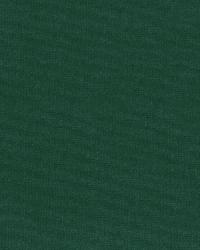 Gainsborough Velvet Billiard by  Schumacher Fabric 