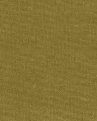 Gainsborough Velvet Sap by  Schumacher Fabric 