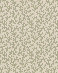 Folly Sage by  Schumacher Wallpaper 