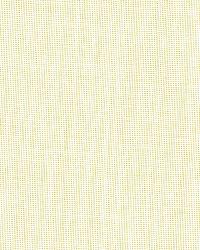 Emilia Sheer Straw by  Schumacher Fabric 