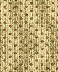 Monserat Chenille Camel by  Schumacher Fabric 