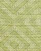 Schumacher Fabric TORTOLA KIWI