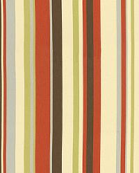 Delray Stripe Cabana by  Schumacher Fabric 