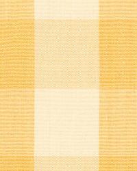 Camden Cotton Check Straw by  Schumacher Fabric 