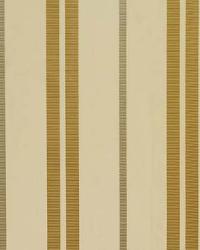 Darcy Silk Stripe Topaz by  Schumacher Fabric 