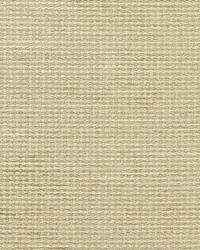 Horizon Chenille Chalk by  Schumacher Fabric 