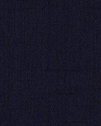 Tiepolo Shantung Weave Marine by  Schumacher Fabric 