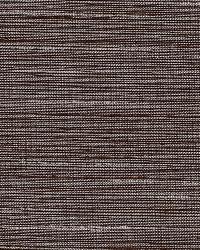 Pozzo Weave Walnut by  Schumacher Fabric 