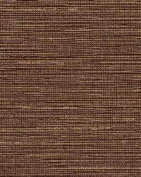 Pozzo Weave Sable by  Schumacher Fabric 