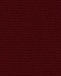 Masaccio Taffeta Claret by  Schumacher Fabric 