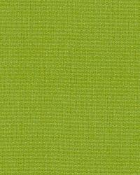 Giordano Taffeta Lime by   