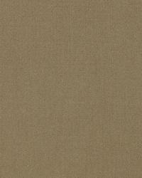 Isolde Cotton Weave Hickory by  Schumacher Fabric 