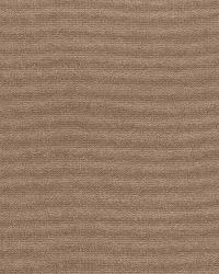 Gainsborough Velvet Hickory by  Schumacher Fabric 