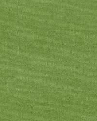 Gainsborough Velvet Grass by  Schumacher Fabric 