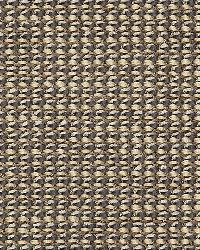 Coco Weave Oxford by  Schumacher Fabric 