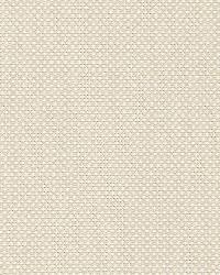 Cap Ferrat Weave Oyster by  Schumacher Fabric 