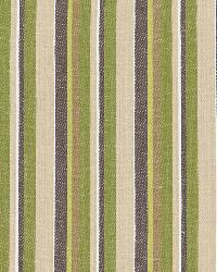 Kiawah Stripe Vert by  Schumacher Fabric 