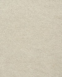 Dixon Mohair Weave Stone by  Schumacher Fabric 