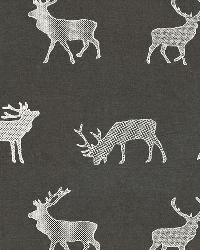 Caribou Embroidery Charcoal by  Schumacher Fabric 