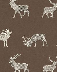 Caribou Embroidery Java by  Schumacher Fabric 