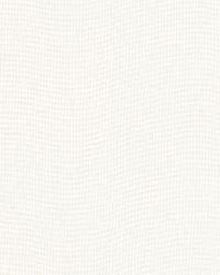 Urbino Sheer Ecru by  Schumacher Fabric 