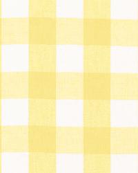 Key West Check Sunflower by  Schumacher Fabric 