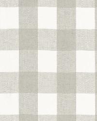 Key West Check Zinc by  Schumacher Fabric 