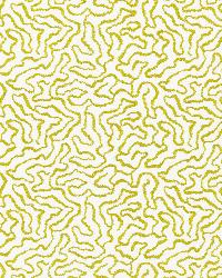 Corallina Acid Green by  Schumacher Fabric 