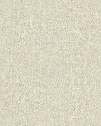 Chester Wool Pistachio by  Schumacher Fabric 