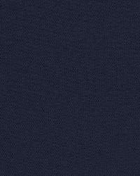 Mandeville Field  Midnight by  Schumacher Fabric 