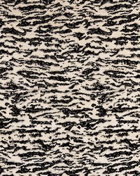 Serengeti Tigre Blanc by  Schumacher Fabric 