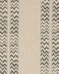 Kudu Stripe Black by  Schumacher Fabric 