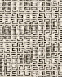 A Maze Embroidery Black On Ivory by  Schumacher Fabric 