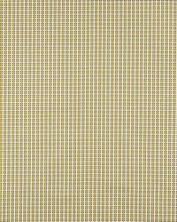 Crosstown Citron by  Schumacher Fabric 