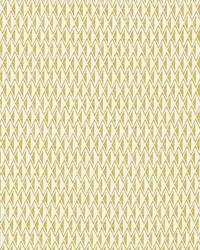 Greenpoint CITRON by  Schumacher Fabric 