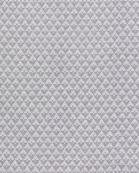 Evans Steel by  Schumacher Fabric 